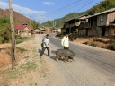 luangprabang (05)